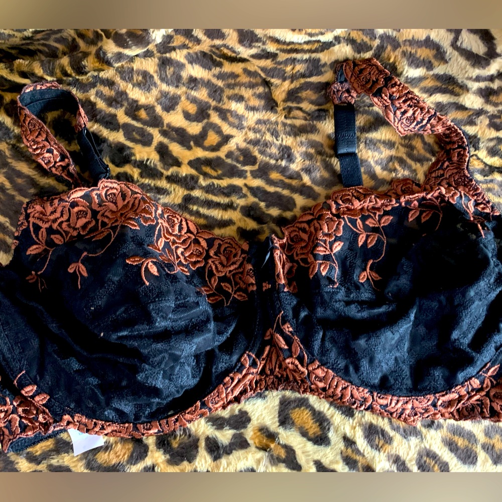 40DD Goddess black and copper lace underwire bra